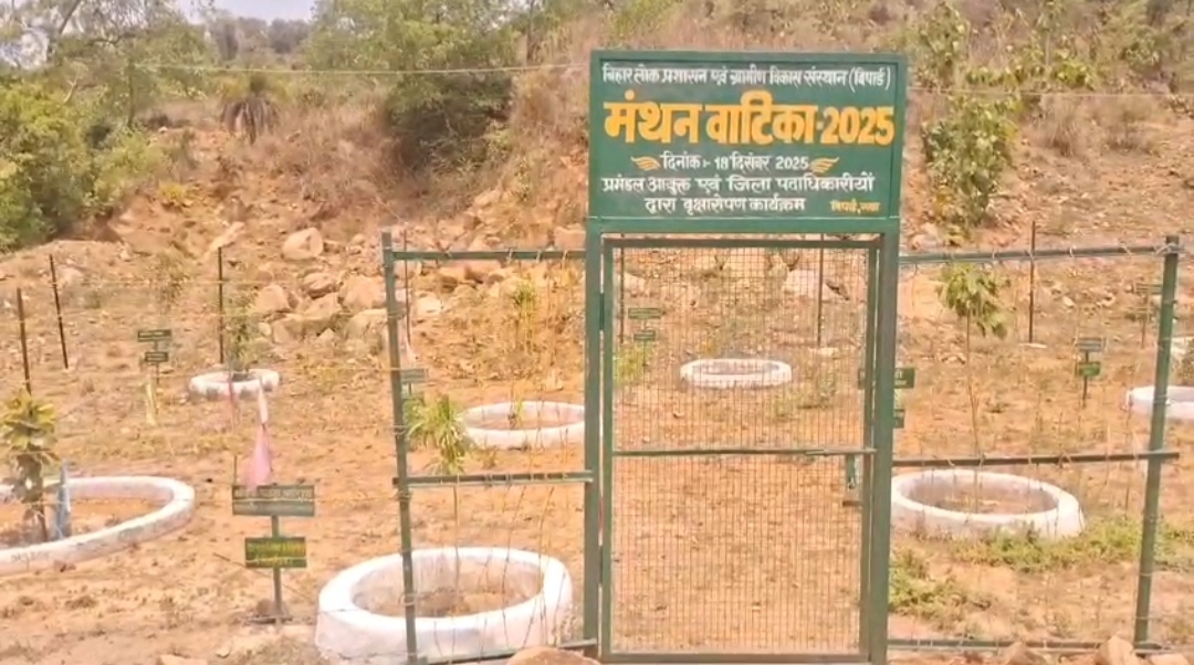 नाम भी, जिम्मेदारी भी: गया की मंथन वाटिका में हर पौधे के साथ जुड़ा IAS अधिकारी का नाम